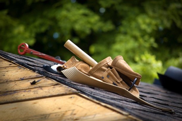 roof-maintenance Experts in Astatula